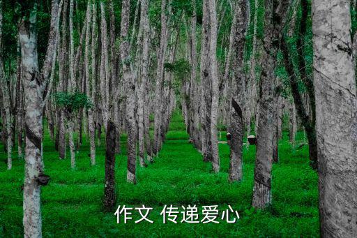 作文 傳遞愛心
