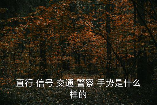 交通警察手勢信號,《中華人民共和國》交通警察手勢信號