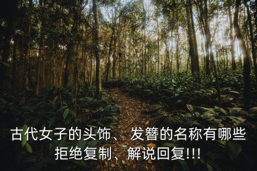 古代女子的頭飾、 發簪的名稱有哪些拒絕復制、解說回復!!!