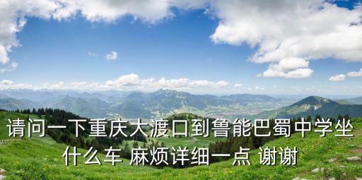 重慶市魯能巴，重慶魯能巴蜀學校
