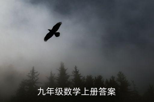九年級數(shù)學上冊答案