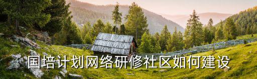 國培計劃網絡研修社區如何建設