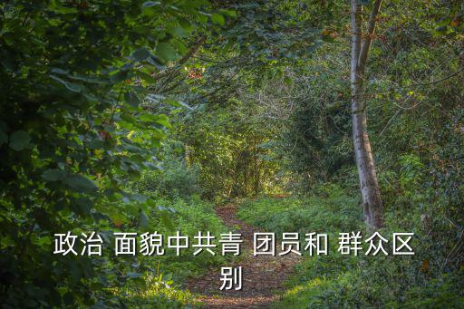  政治 面貌中共青 團員和 群眾區(qū)別