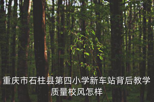 重慶市石柱縣第四小學(xué)新車站背后教學(xué)質(zhì)量校風(fēng)怎樣
