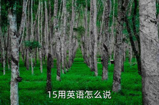 15用英語怎么說