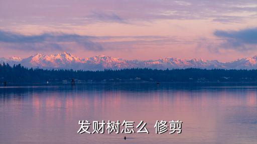 發(fā)財(cái)樹(shù)怎樣修剪,及時(shí)修剪防止養(yǎng)分過(guò)度競(jìng)爭(zhēng)財(cái)樹(shù)會(huì)長(zhǎng)得更旺盛