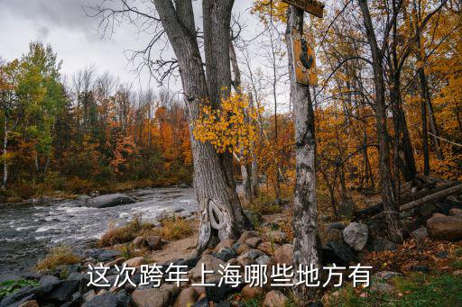 這次跨年上海哪些地方有