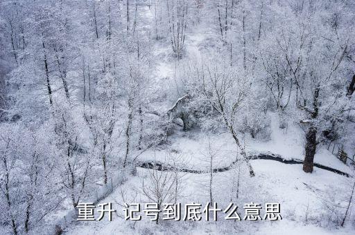  重升 記號到底什么意思