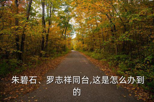 朱碧石原型是誰,羅志祥:綜藝感比陳赫更自然身份更受歡迎