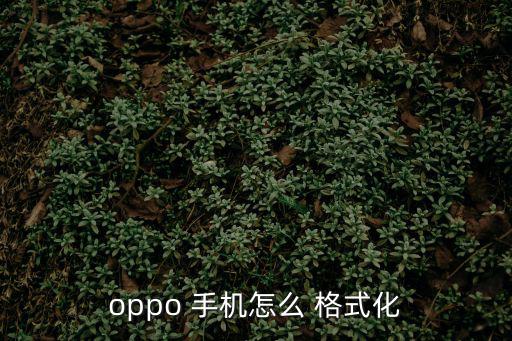 格式化手機(jī),關(guān)閉手機(jī)解鎖攻略!