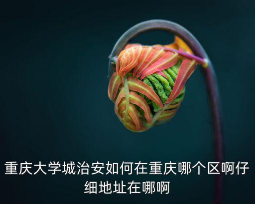 重慶大學城治安如何在重慶哪個區啊仔細地址在哪啊