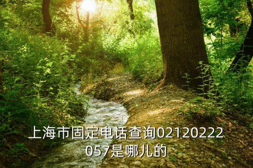 上海固定電話查詢，上海電話號碼查詢
