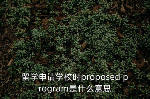 留學申請學校時proposed program是什么意思