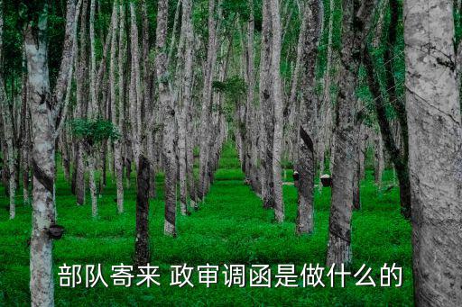 政審函調,入黨函調指以組織名義發函要求對方協助調查重要事項