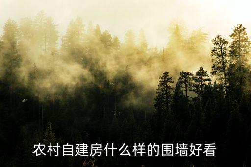 農村自建房什么樣的圍墻好看