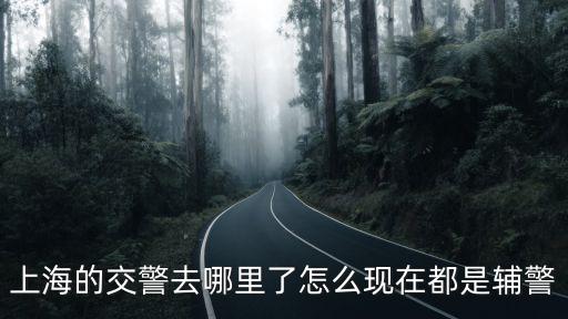上海的交警去哪里了怎么現在都是輔警