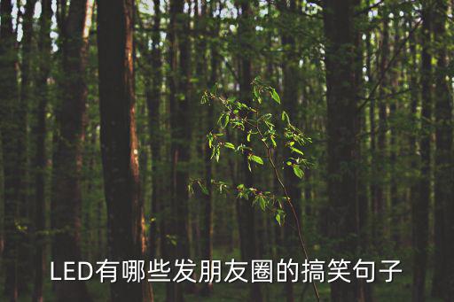 LED有哪些發(fā)朋友圈的搞笑句子