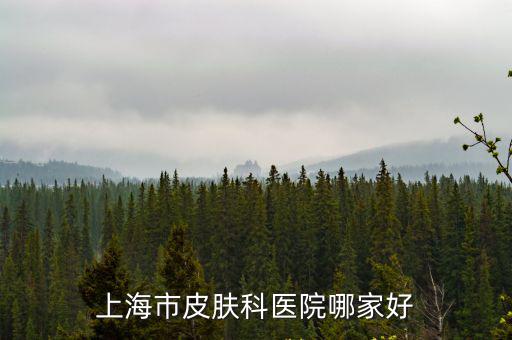 上海市皮膚病醫院皮膚科，上海市皮膚科醫院哪家好