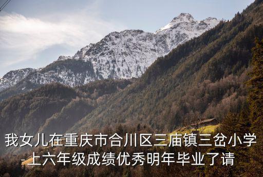 重慶市三合鎮(zhèn)中心小學，洪合鎮(zhèn)中心小學王江涇鎮(zhèn)中心小學油車港鎮(zhèn)實驗小學這三個學校哪