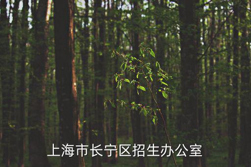 上海長寧區(qū)辦公室人員名單，上海市長寧區(qū)招生辦公室