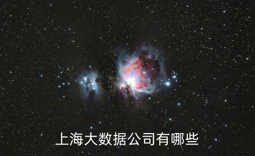 上海大數據公司有哪些