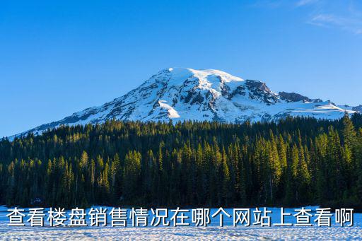 重慶市查詢樓盤銷售情況，查看樓盤銷售情況在哪個網站上查看啊