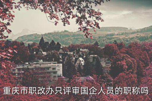 重慶市職改辦只評審國企人員的職稱嗎