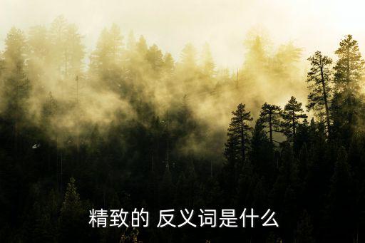  精致的 反義詞是什么
