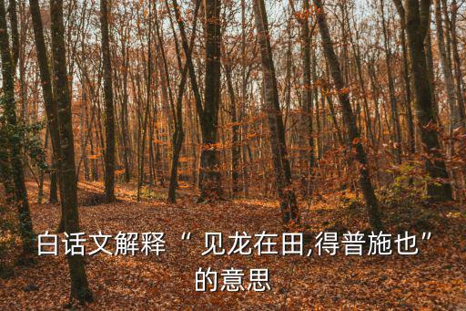 見龍在田,【周易·干卦》第二集:有龍在外地有利于見大人