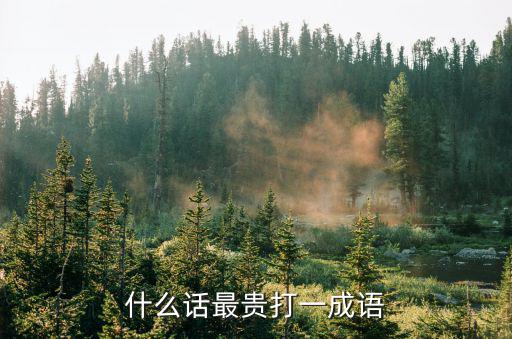 什么話最貴打一成語