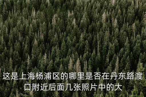 這是上海楊浦區的哪里是否在丹東路渡口附近后面幾張照片中的大