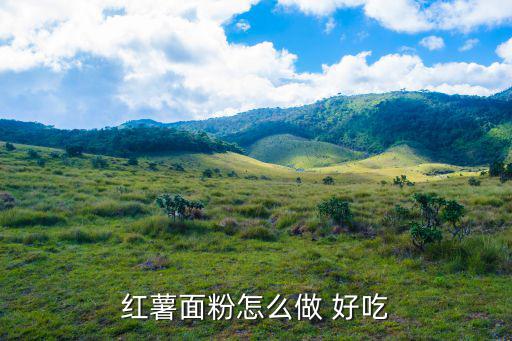地瓜面怎么做好吃,南瓜面團(tuán)和紅薯面團(tuán)各有千秋