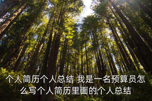 個人簡歷個人總結 我是一名預算員怎么寫個人簡歷里面的個人總結