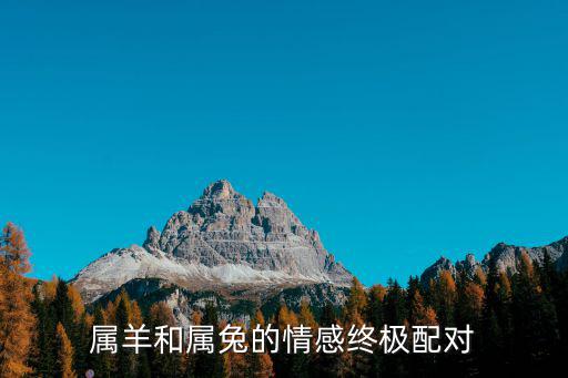 屬羊和屬兔,羊兔終極生肖配對:不可多得好伴侶讓人羨慕