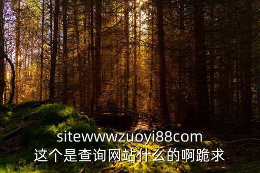 網站域名查詢網，sitewwwzuoyi88com這個是查詢網站什么的啊跪求