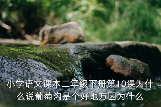 小學語文課本二年級下冊第10課為什么說葡萄溝是個好地方因為什么