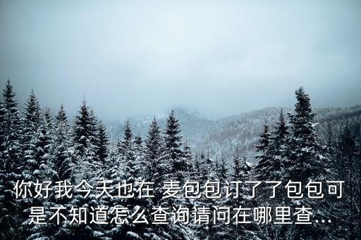 你好我今天也在 麥包包訂了了包包可是不知道怎么查詢請問在哪里查...