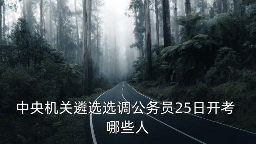 中央機關遴選選調公務員25日開考 哪些人