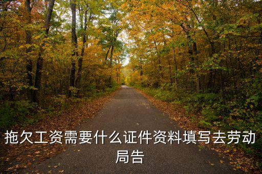 拖欠工資需要什么證件資料填寫去勞動局告