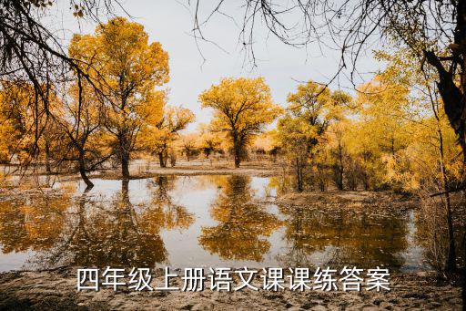 四年級(jí)上冊(cè)語(yǔ)文課課練答案