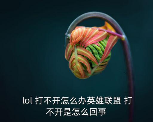 lol打不開,游戲與電腦匹配錯(cuò)誤?可以試一下