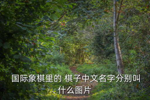  國際象棋里的 棋子中文名字分別叫什么圖片