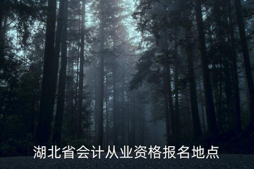 湖北2023會計報名考試官網，湖北考會計證的報名網站報名時間是什么