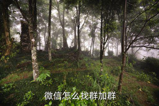 微信怎么查找群,如何在微信群中找到你的聯系方式?