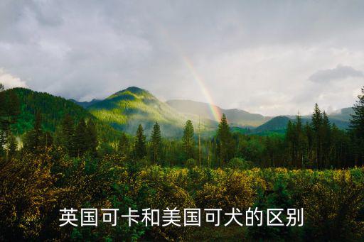 美國可卡犬,英國和美國可卡犬比較:英國版彎鼻版美國版