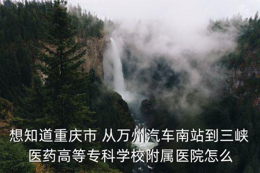 想知道重慶市 從萬州汽車南站到三峽醫藥高等專科學校附屬醫院怎么