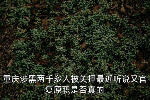 重慶涉黑兩千多人被關押最近聽說又官復原職是否真的