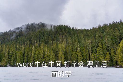  word中在中間 打字會 覆蓋后面的字