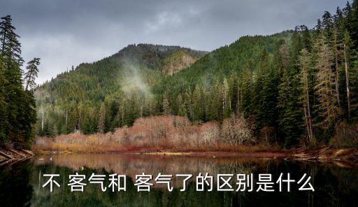 不 客氣和 客氣了的區別是什么