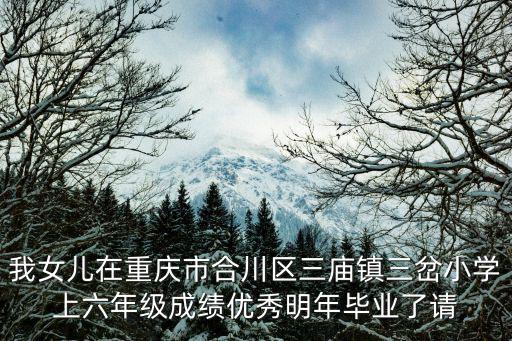 我女兒在重慶市合川區(qū)三廟鎮(zhèn)三岔小學(xué)上六年級(jí)成績(jī)優(yōu)秀明年畢業(yè)了請(qǐng)